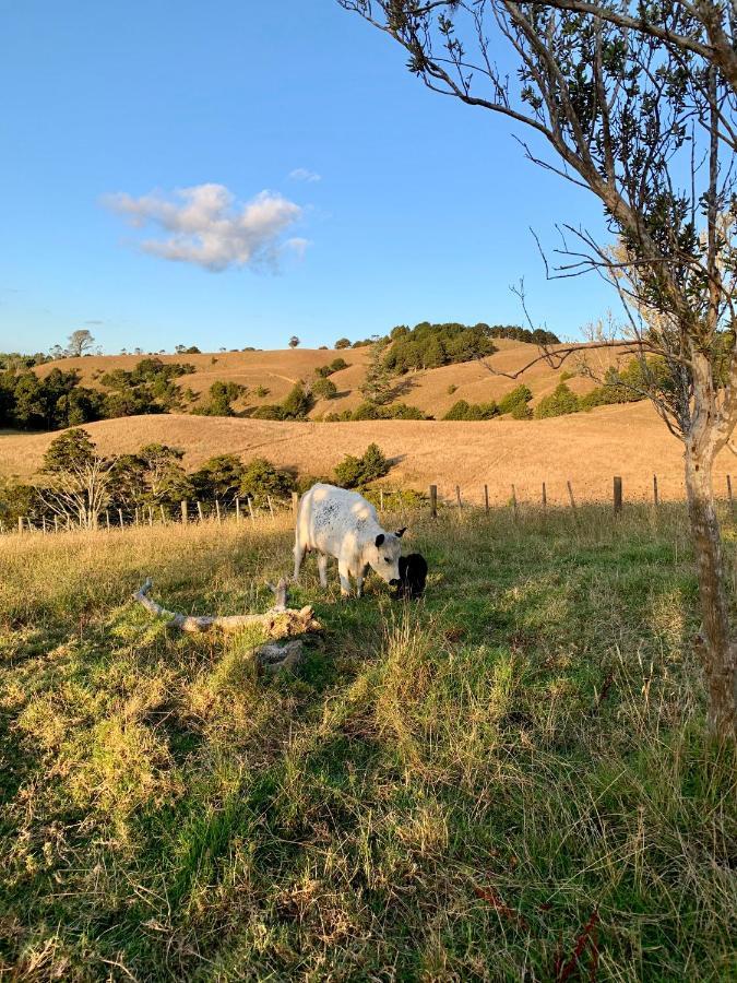 Tracy'S Boutique B&B Farmstay Wellsford Εξωτερικό φωτογραφία