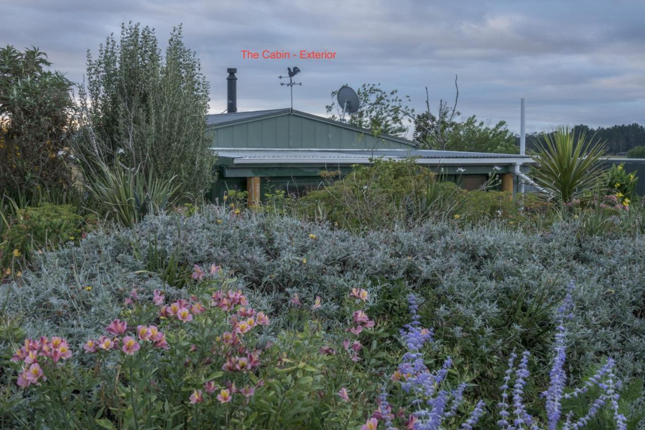 Tracy'S Boutique B&B Farmstay Wellsford Εξωτερικό φωτογραφία